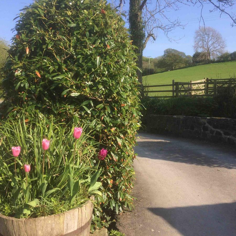 The Bakery Villa Llanddeiniol Exterior photo
